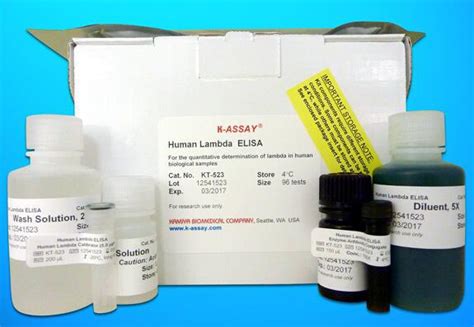 kit elisa hpv|Human Cathepsin Z .